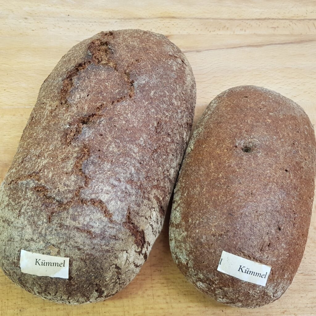 Vollkorn-Brot mit Kümmel