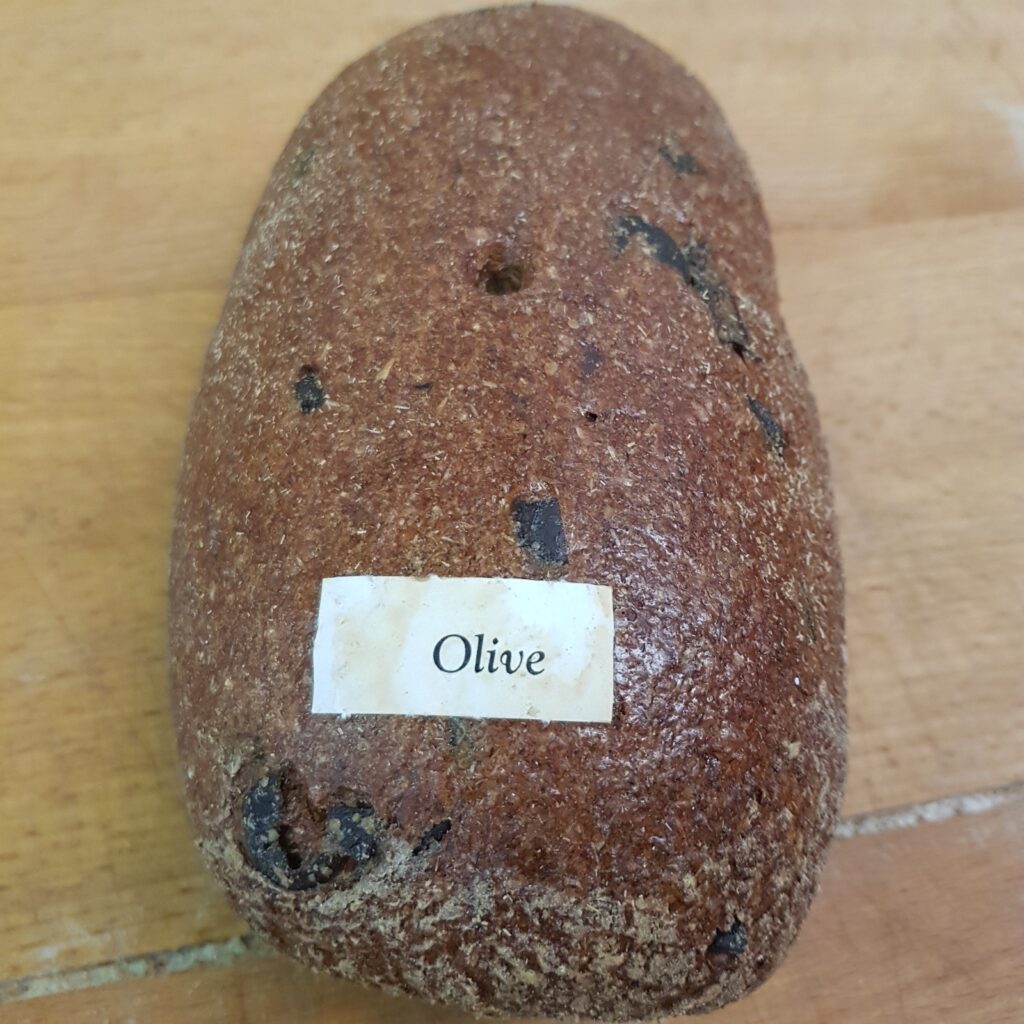 Vollkorn-Brot mit Oliven