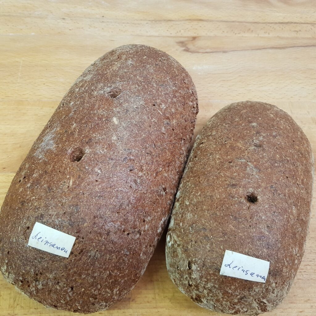 Vollkorn-Brot Leinsamen