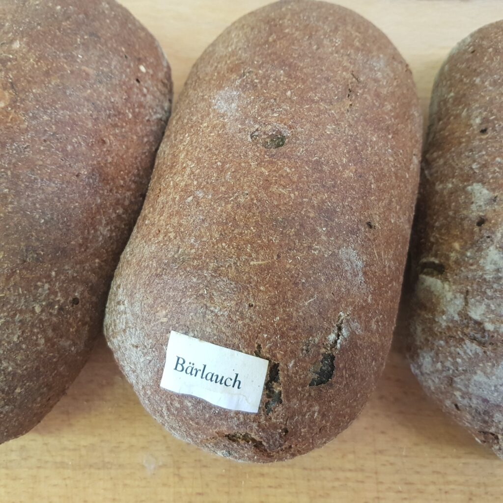 Vollkorn-Brot mit Bärlauch